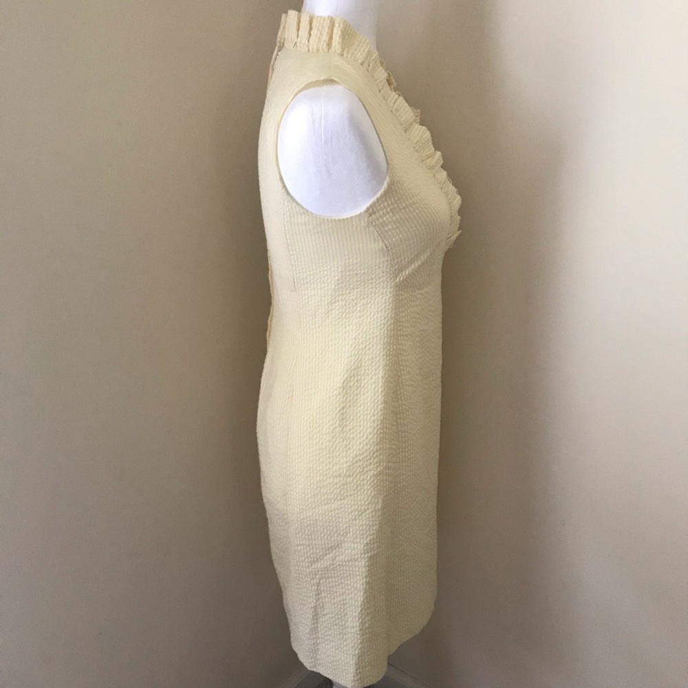 Lily Pulitzer Dress - Picture 4 of 5